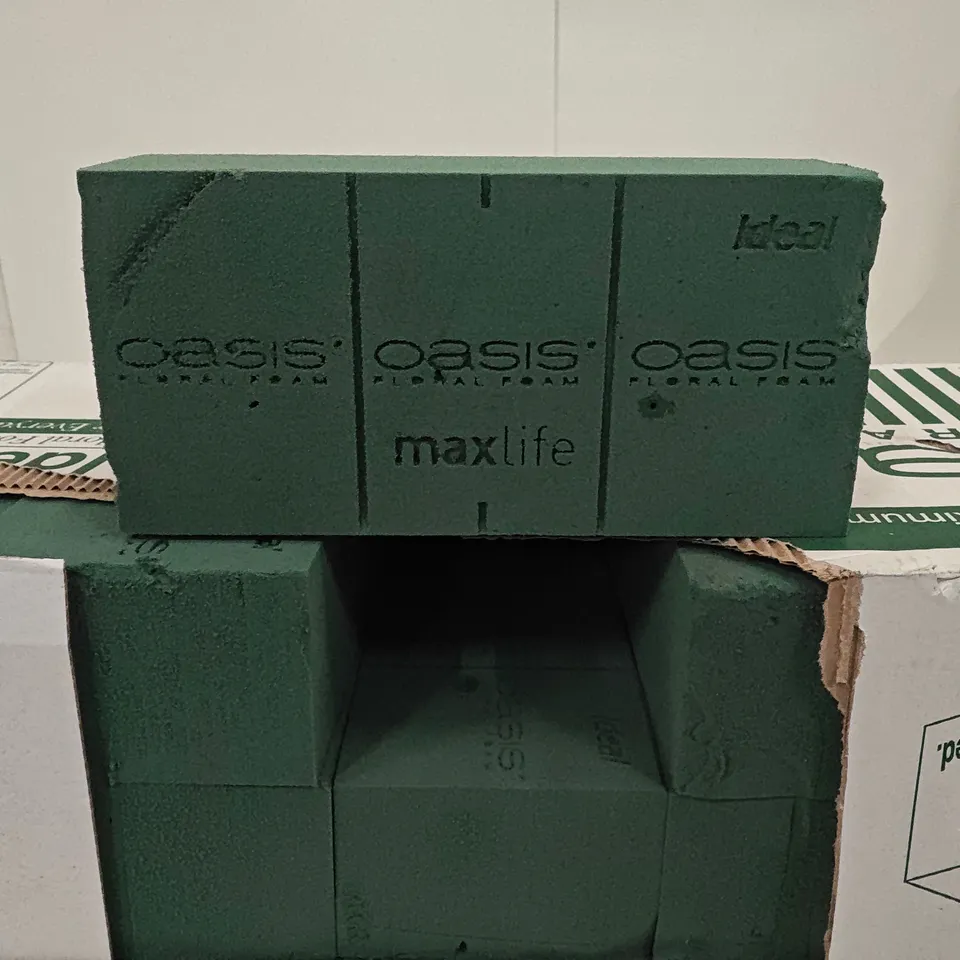 OASIS FLORAL FOAM 20-BRICK