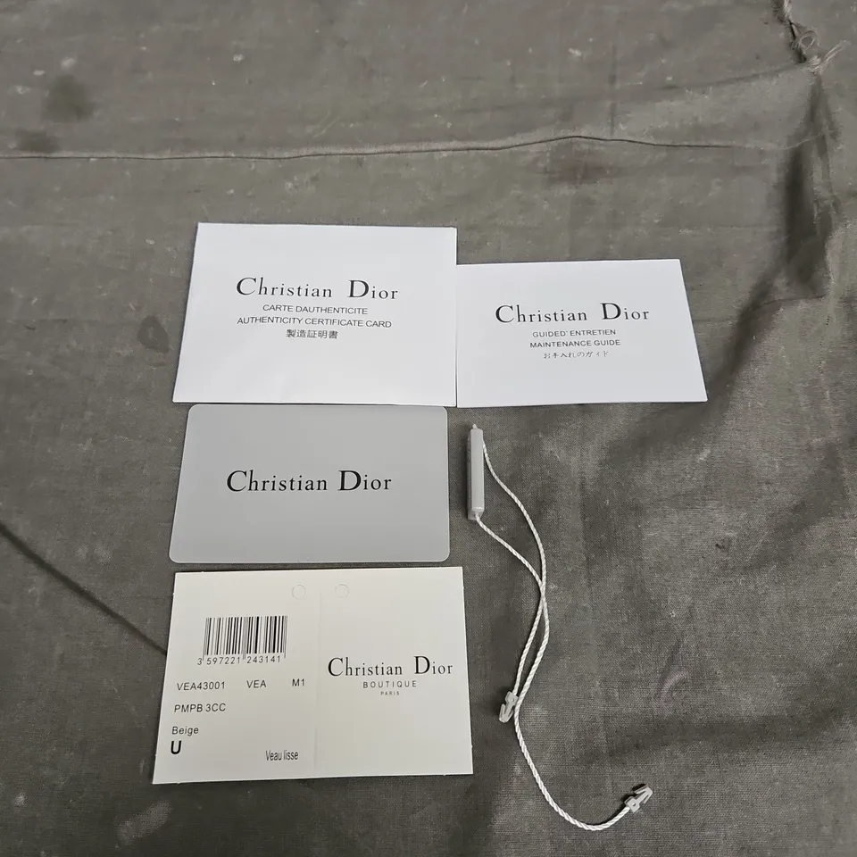 LARGE DIOR BOOK TOTE