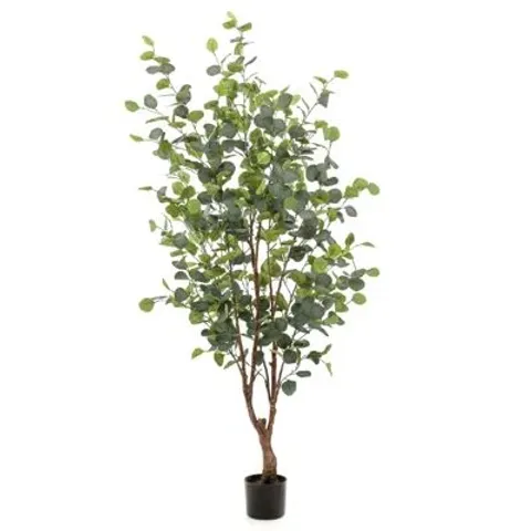 BOXED EMERALD ARTIFICIAL EUCALYPTUS TREE IN POT (1 BOX)