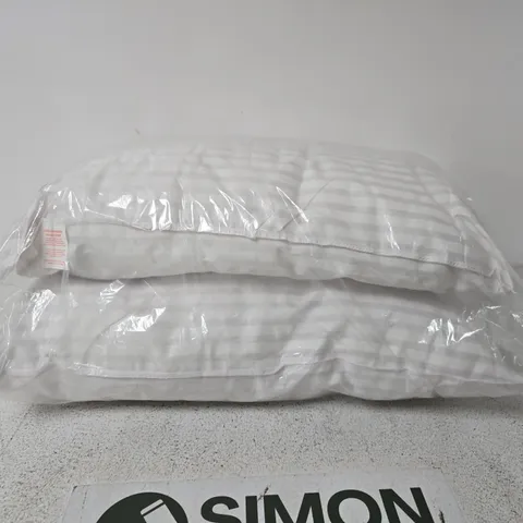 SET OF 2 PILLOWS 