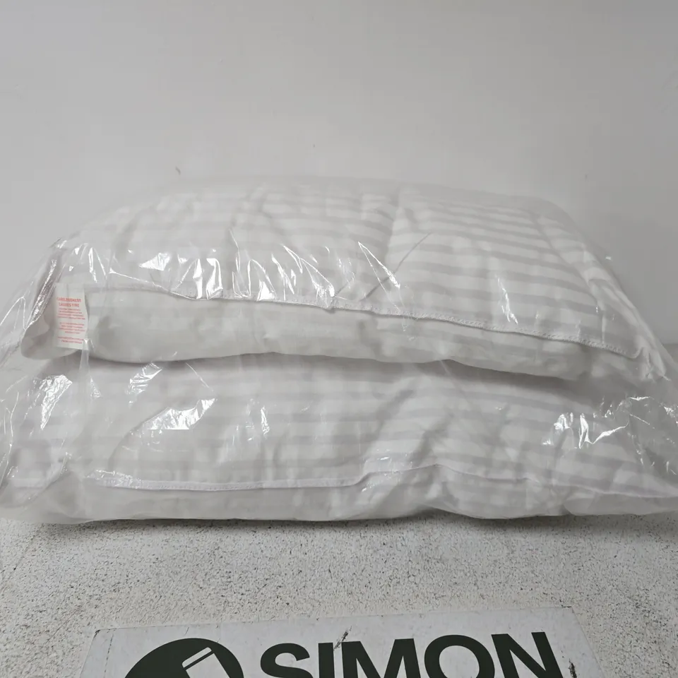 SET OF 2 PILLOWS 