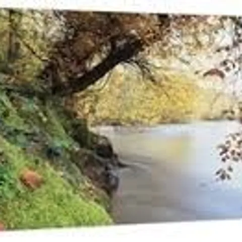 BOXED TREES ALONG A RIVER DART, BICKLEIGH, MID DEVON ENGLAND - PANORAMIC CANVAS PRINT