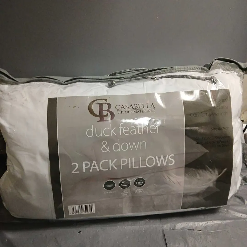 CASABLANCA DUCK FEATHER & DOWN 2 PACK PILLOWS IN WHITE