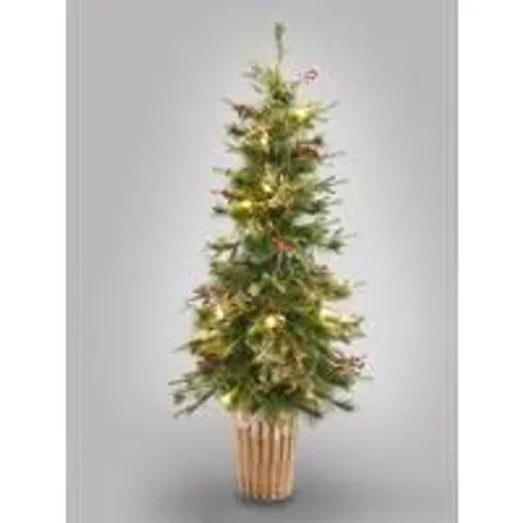 BERWICK PINE FIBRE OPTIC POTTED TREE 5FT COLLECTION ONLY