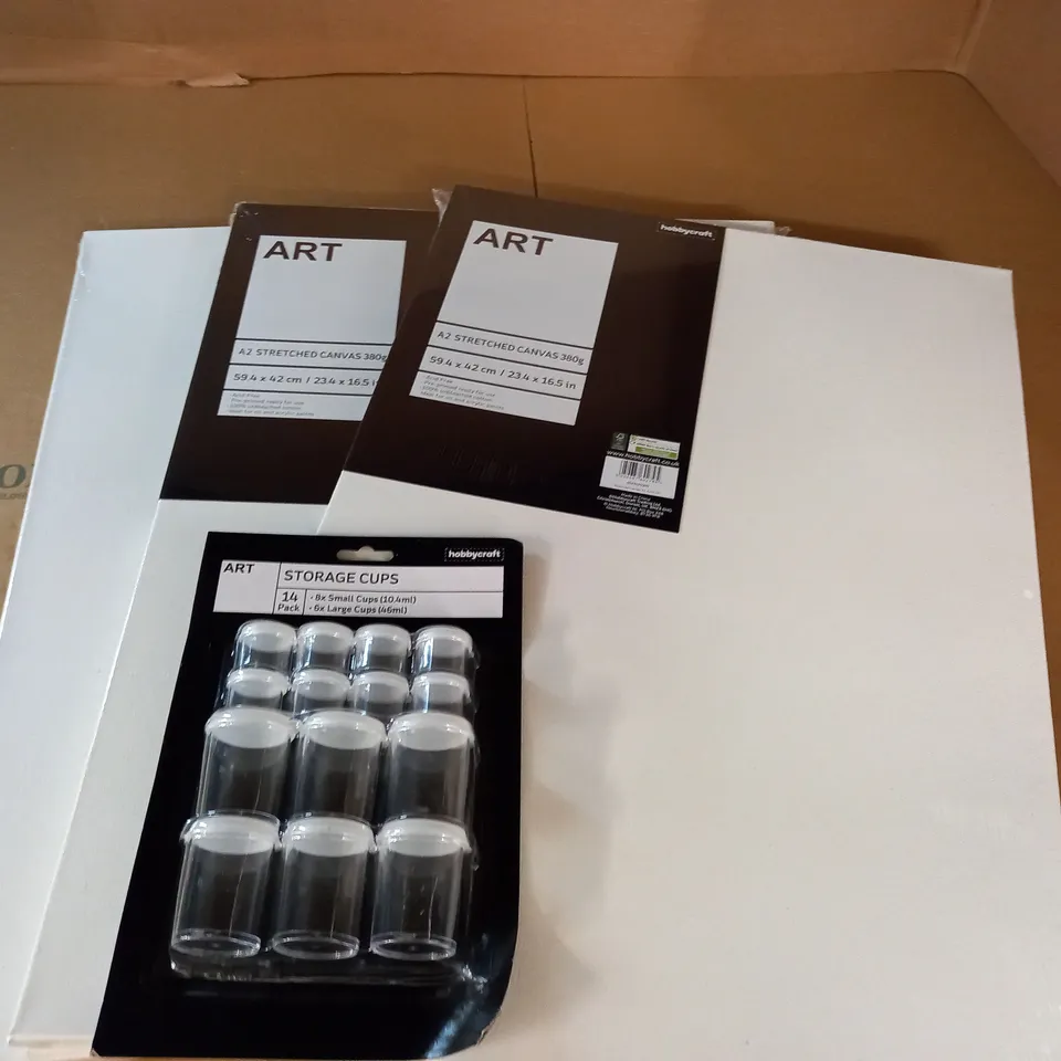 LOT OF 3 STRETCHED A2 CANVASES