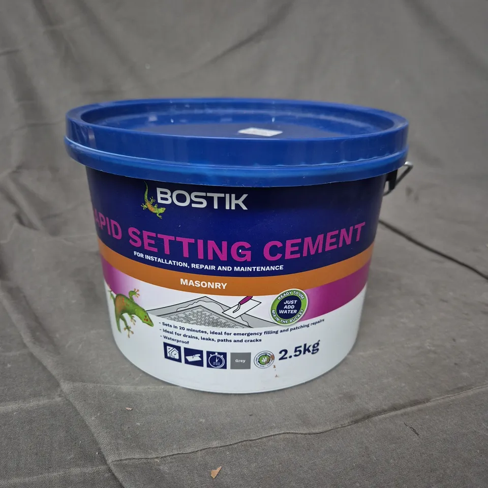 BOSTIK RAPID SETTING CEMENT - MASONRY - 2.5KG