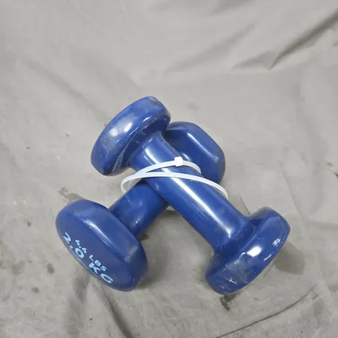 BOX OF APPROX 10 ASSORTED ITEMS: PAIR OF BLUE VINYL DUMBBELLS (2.5 LB EACH), SINGLE BED FITTED SHEET, AND JONES 3000 RED BREAM FISHING BAIT - COLLECTION ONLY