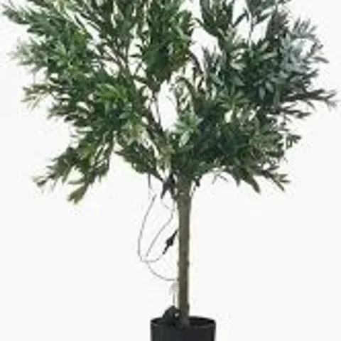 BOXED MY GARDEN STORIES BUSHY LED OLIVE TREE