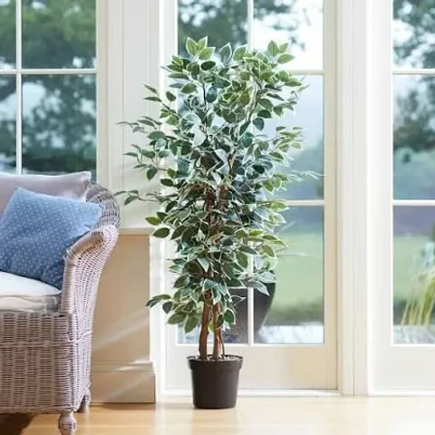 WEEPING FIG ARTIFICIAL PLANT – DECORATIVE INDOOR PLANT (BOXED)