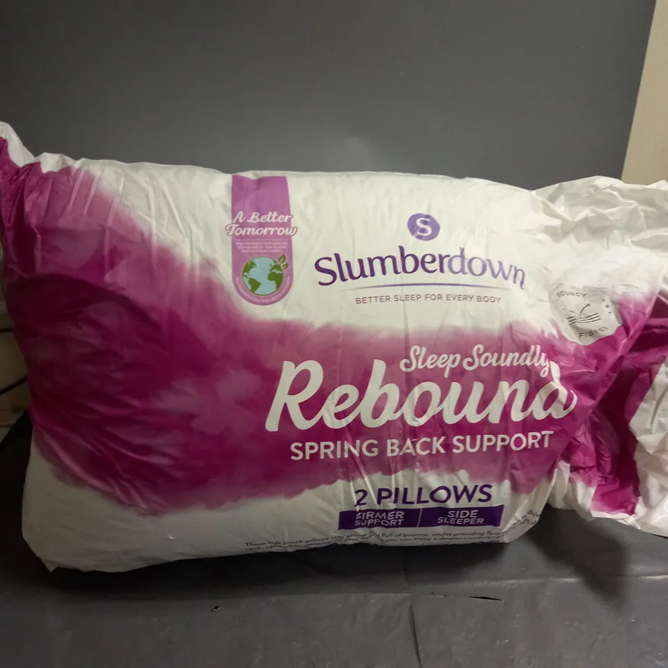 SLUMBERDOWN SLEEP SOUNDLY REBOUND 2 PILLOWS