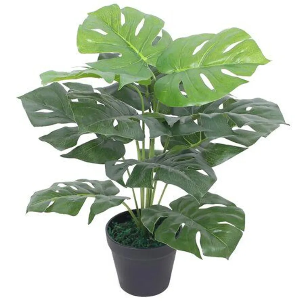 BOXED MONSTERA ART PLANT IN POT