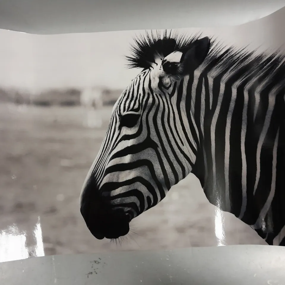 4 X ASSORTED ANIMAL PRINTS IN BLACK & WHITE 