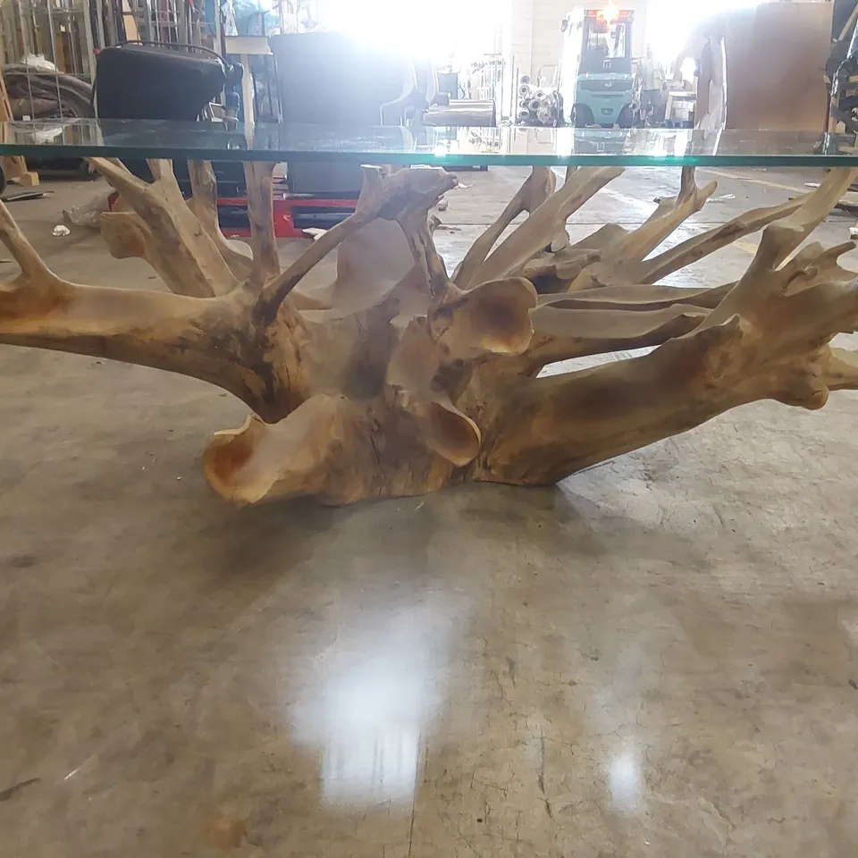 PACKAGED HOMESDIRECT365 TEAK ROOT DRIFT GLASS COFFEE TABLE (2 ITEMS)	