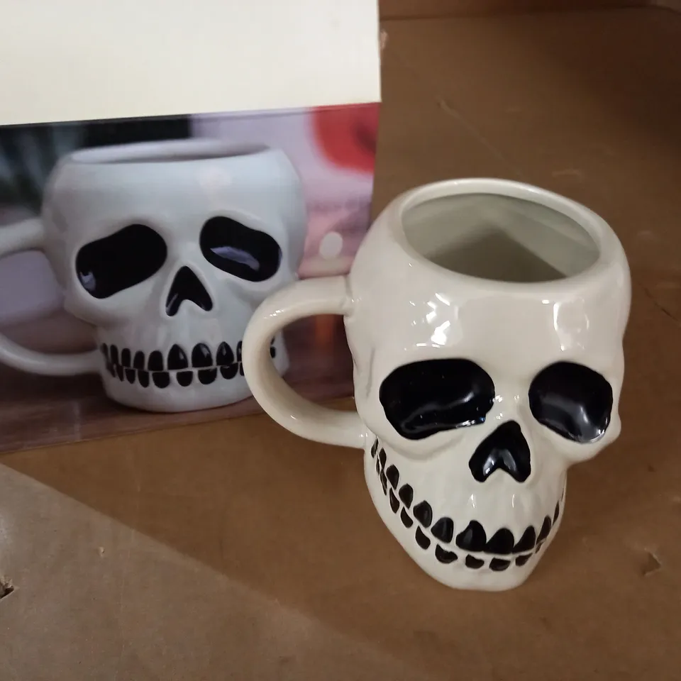 BOXED SKULL MUG