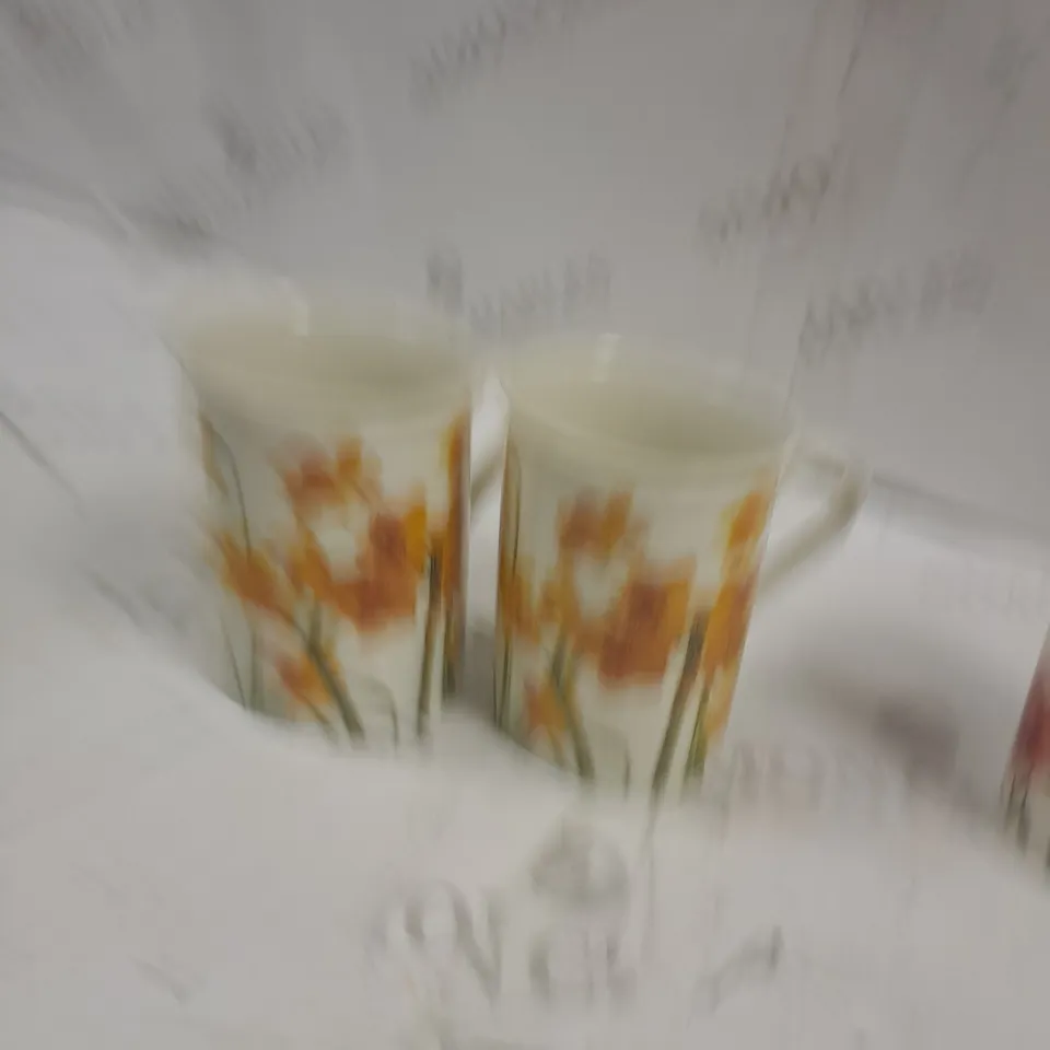 BOXED SET OF 4 MUGS TO INCLUDE 2 POPPY MUGS, 2 DAFFODIL MUGS