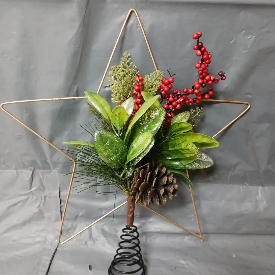 STAR WITH FOLIAGE CHRISTMAS TREE TOPPER RRP £15.99