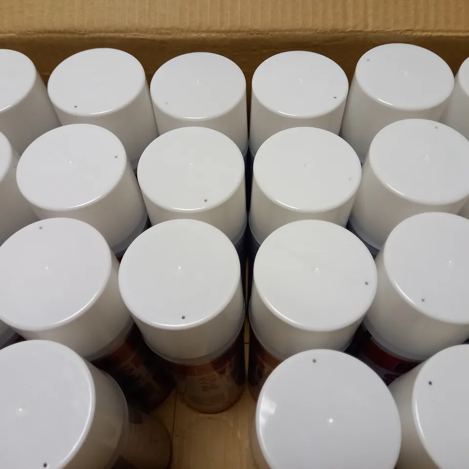 BOX OF APPROX 24 RAPIDE SPRAY AND SEAL MASTIC SEALANT IN WHITE