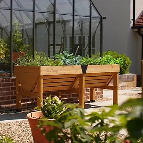BOXED VEGTRUG MEDIUM CLASSIC PLANTER