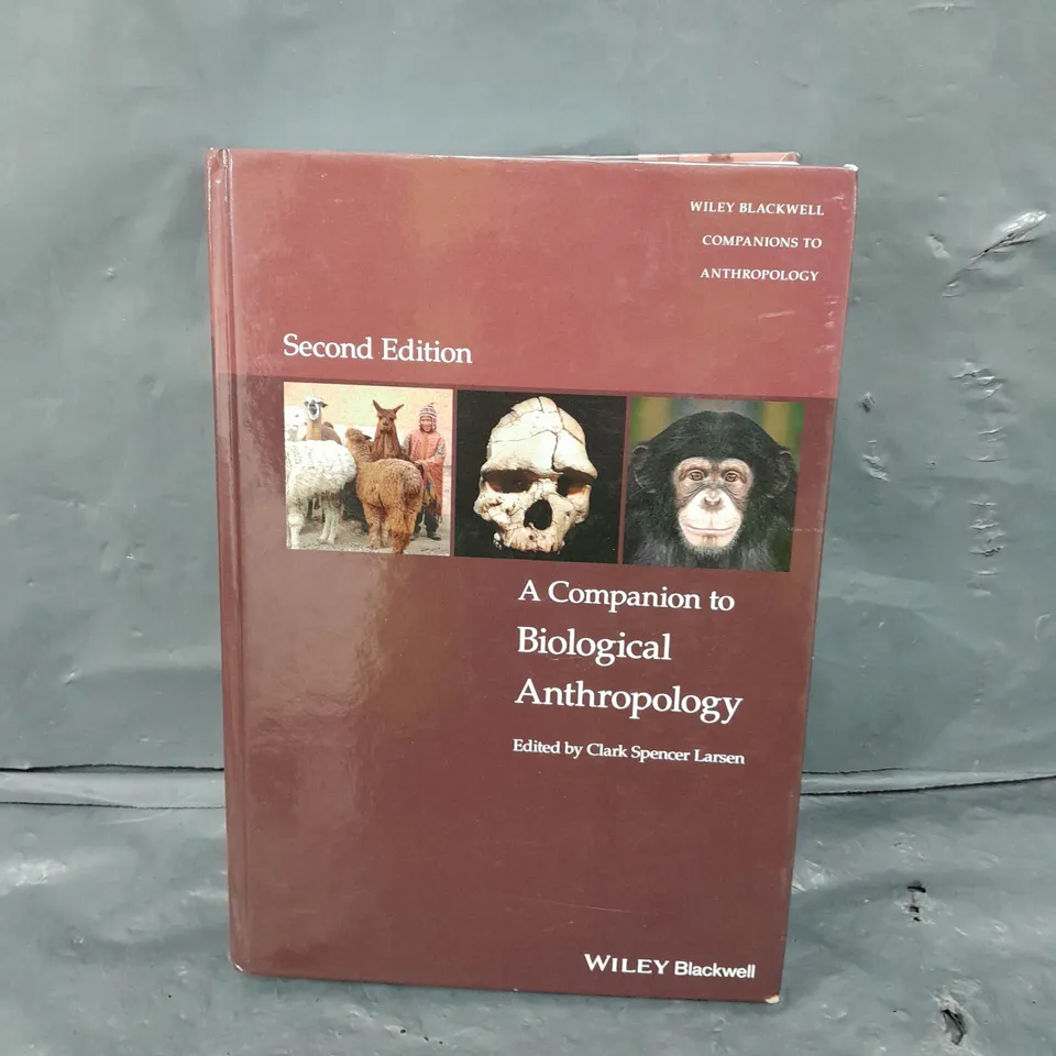 A COMPANION TO BIOLOGICAL ANTHROPOLOGY SECOND EDITION BOOK 