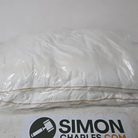 SEALED SET OF 2 PILLOWS