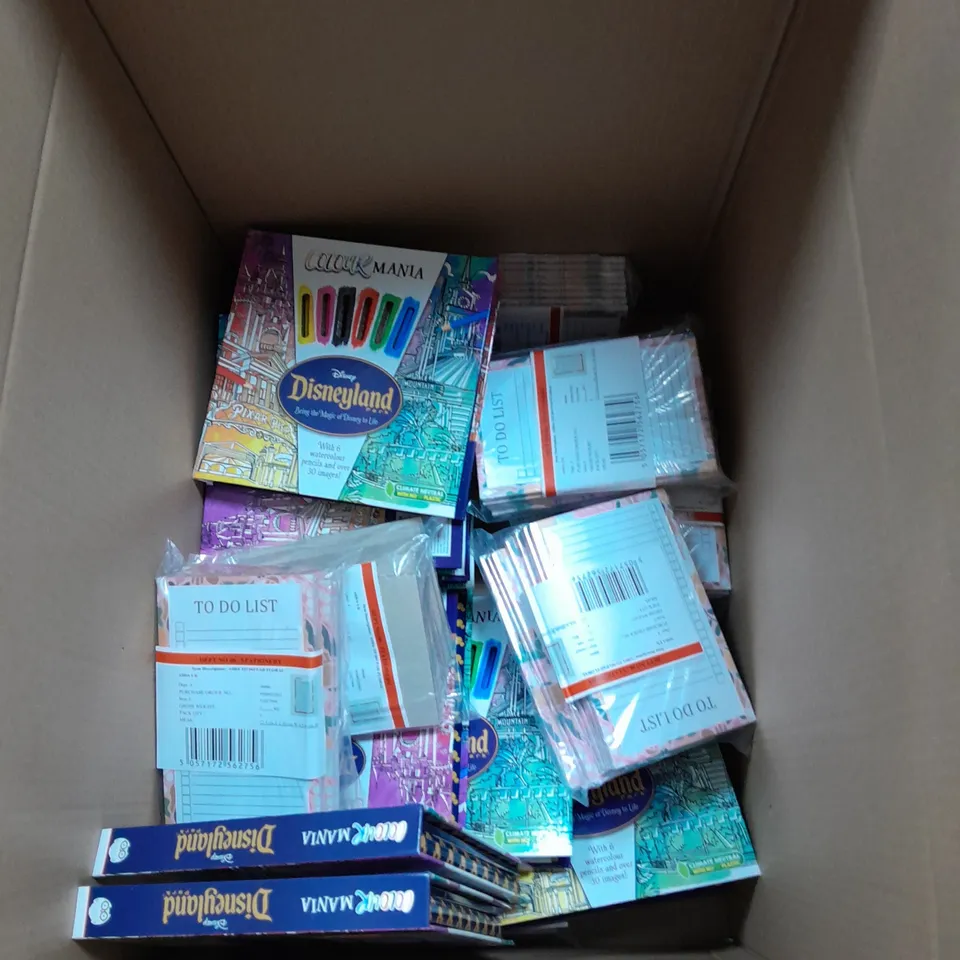 APPROXIMATELY 20 DISNEYLAND COLOURING SET AND TO DO LIST PADS