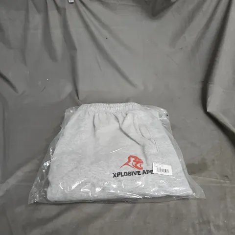 XPLOSIVEAPE ORIGINAL LOGO V2 JOGGERS – HEATHER GREY, UK L