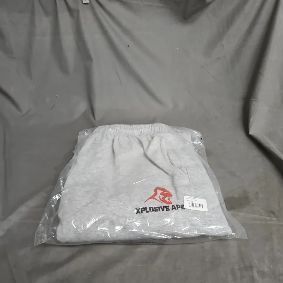 XPLOSIVEAPE ORIGINAL LOGO V2 JOGGERS – HEATHER GREY, UK L 