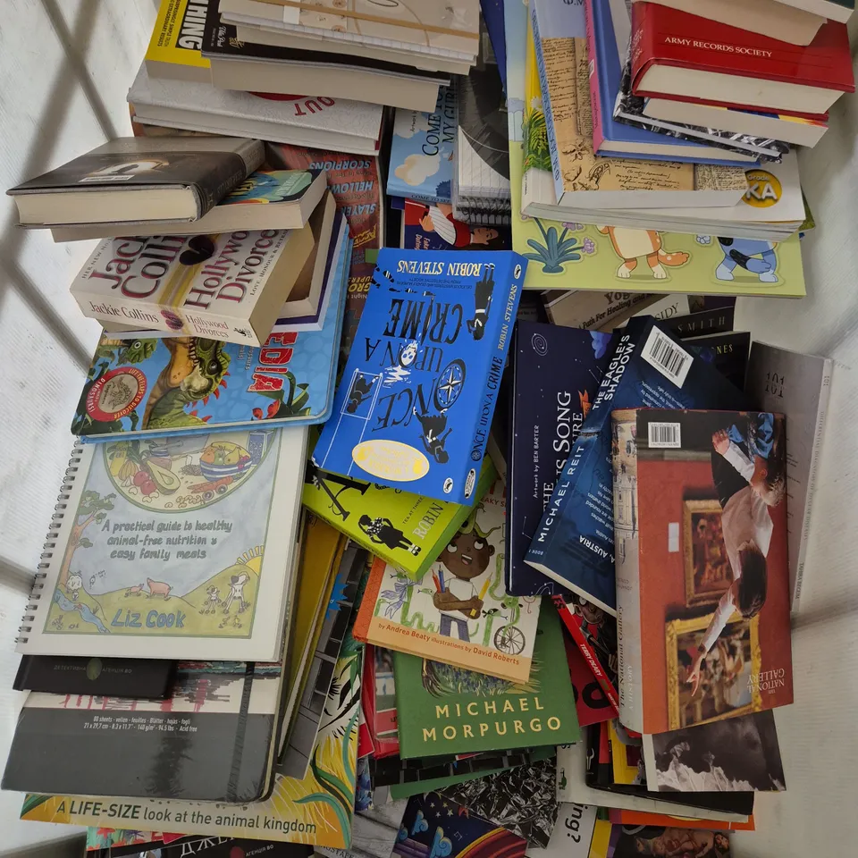 LARGE QUANTITY OF ASSORTED FICTION & NON-FICTION BOOKS WITH WORKS FROM LOUISE BAY, MICHAEL REIT, JOHN FERRIS, ETC - COLLECTION ONLY