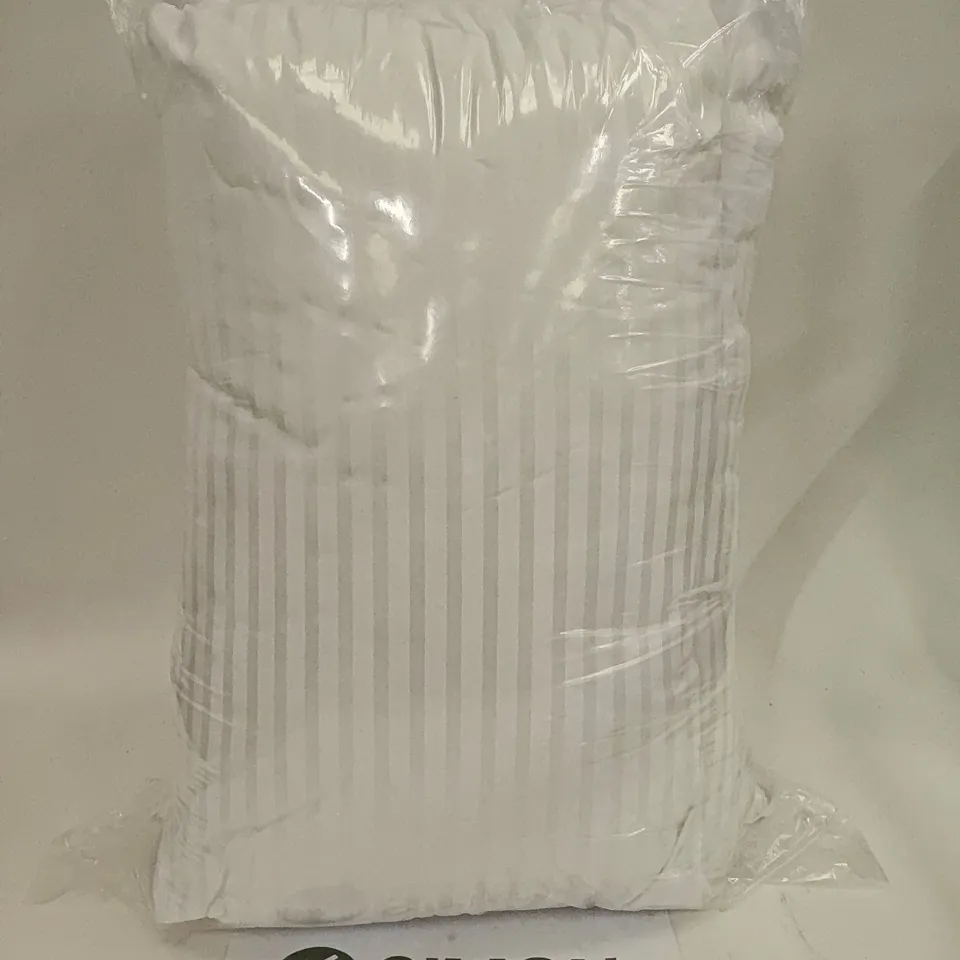 BAGGED SET OF 4 STRIPED PILLOWS