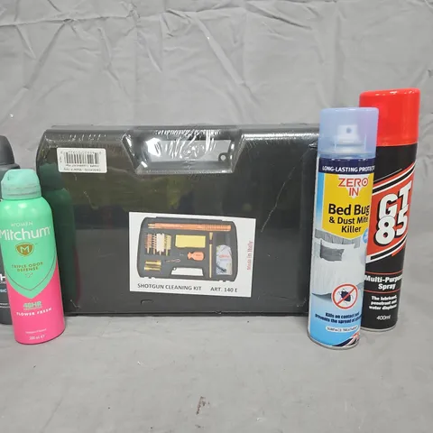 APPROXIMATELY 10 ASSORTED HOUSEHOLD ITEMS TO INCLUDE GT85, BED BUG KILLER, ETC - COLLECTION ONLY