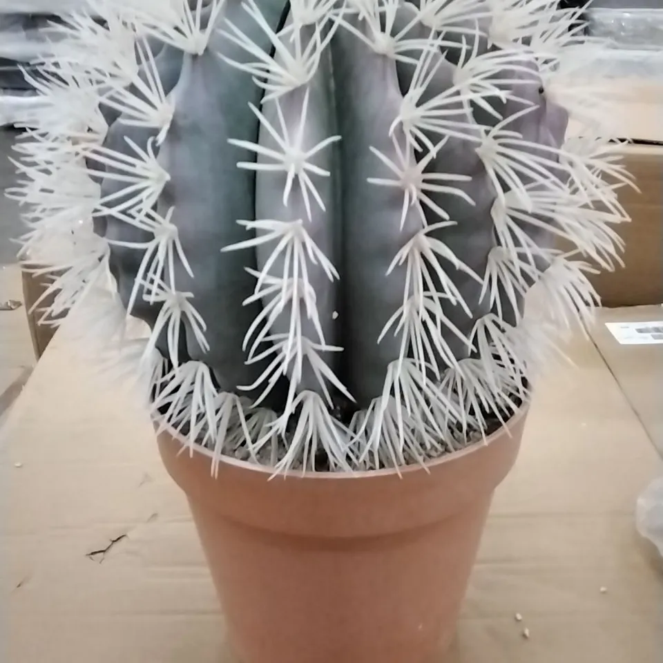 FAUX CACTUS