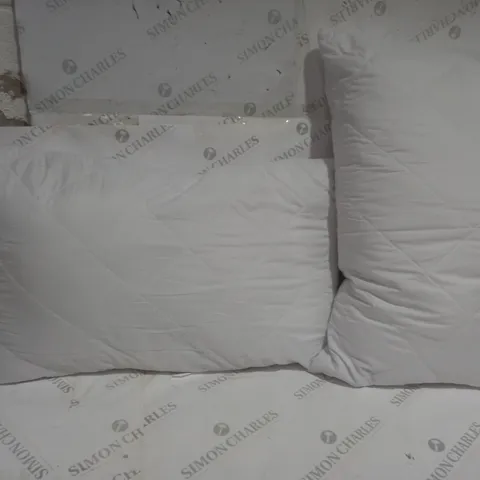 2 ASSORTED PILLOWS