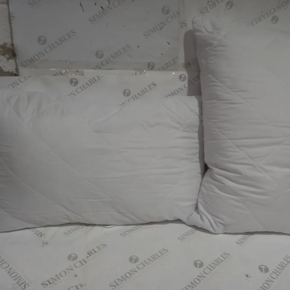 2 ASSORTED PILLOWS