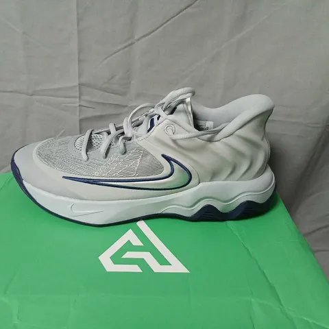 NIKE GIANNIS IMMORTALITY 4 BASKETBALL SHOES - WOLF GREY/PLATINUM, US 9