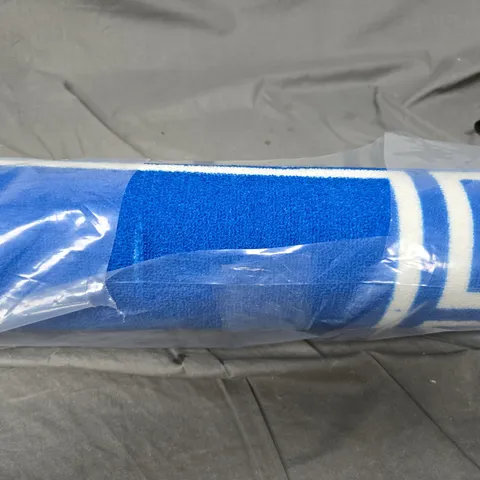 BLUE AND WHITE GREEK STY RUG SIZE UNKNOW