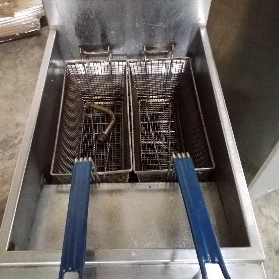 THOR DOUBLE BASKET NAT GAS FRYER