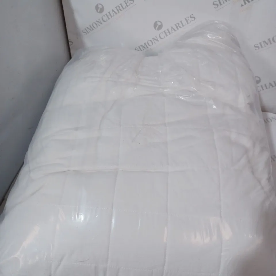 MODERN BEDROOM MAX PILLOW PAIR 