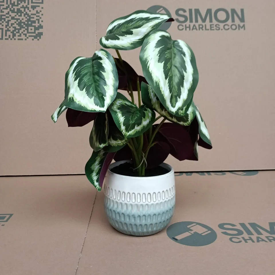 PLASTIC HOUSEPLANT IN CERAMIC POT BOXED