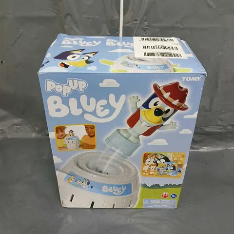 BOXED BLUEY POP UP TOY