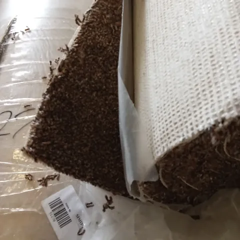 ROLL OF QUALITY STS HERITAGE LUXURY COFFEE CARPET // SIZE: APPROX 4 x 9.8m