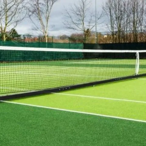 VERMONT FREE STANDINGTENNIS POST