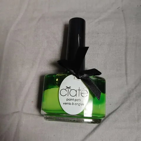 BOX OF APPROXIMATELY 160 CIATE PAINT POTS NAIL POLISH – PALM TREE (GREEN)-13.5ML