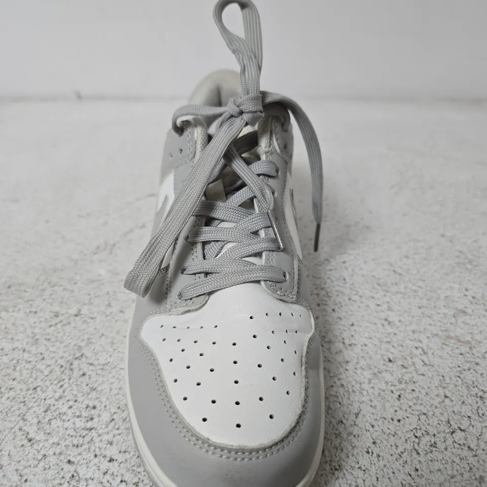 NIKE DUNK LOW SNEAKER – GREY/WHITE