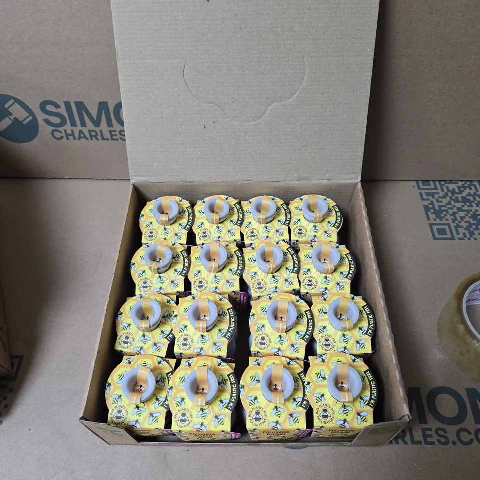 SEEDBOM GUERRILLA GARDENING GRENADES – POLLINATOR BEEBOM SEED BOMBS, BOXED SET