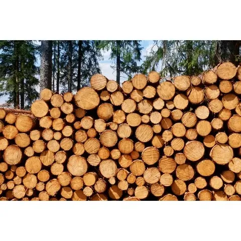 STACKED LOGS - PAINTED CANVAS