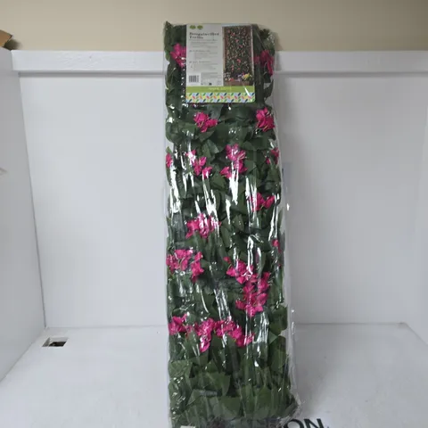 BOUGAINVILLEA TRELLIS PLANT – PINK FLOWERING, IN PLASTIC WRAP