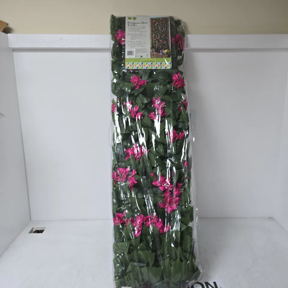 BOUGAINVILLEA TRELLIS PLANT – PINK FLOWERING, IN PLASTIC WRAP