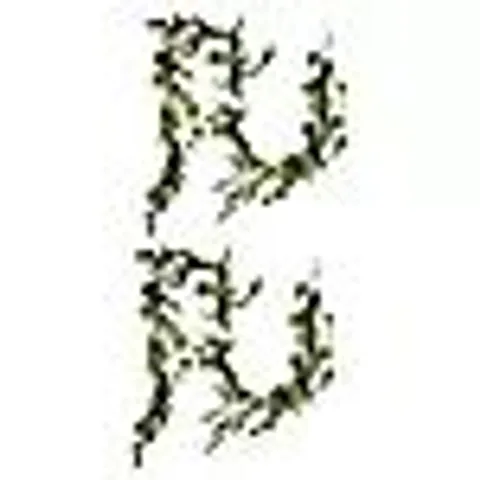 SARA BY SARA DAVIES PRE LIT EUCALYPTUS LIGHT STRAND SET OF 2