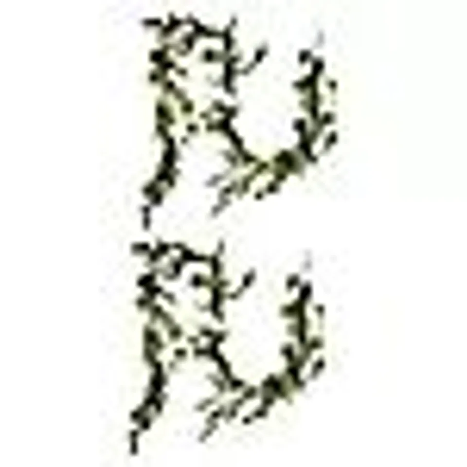 SARA BY SARA DAVIES PRE LIT EUCALYPTUS LIGHT STRAND SET OF 2