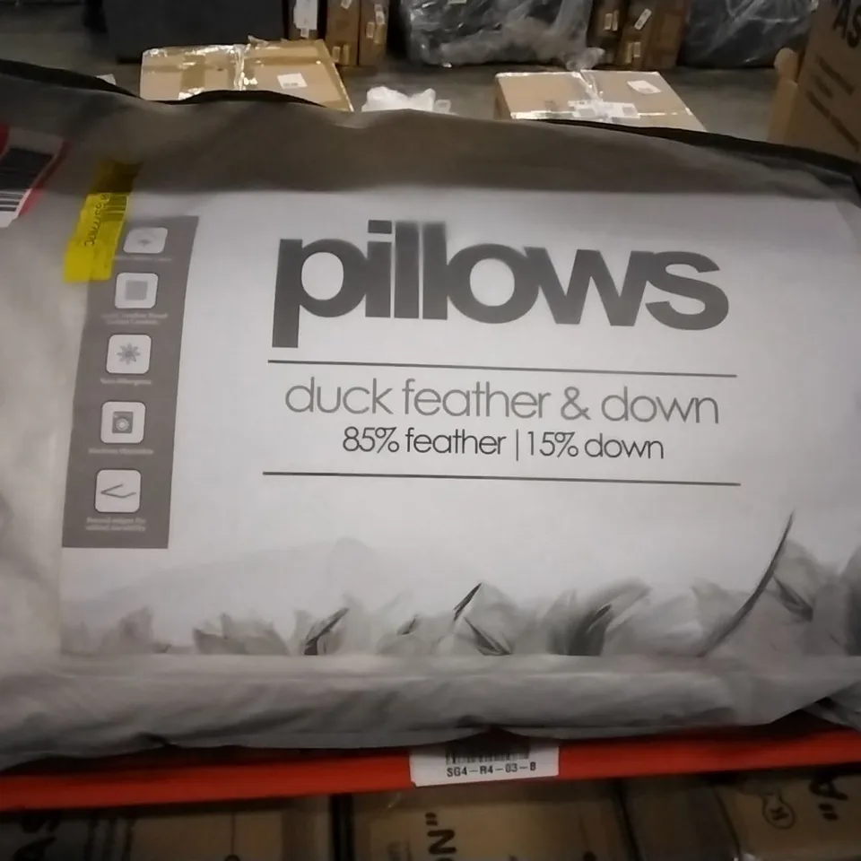 DESIGNER DUCK FEATHER AND DOWN SET OF PILLOWS